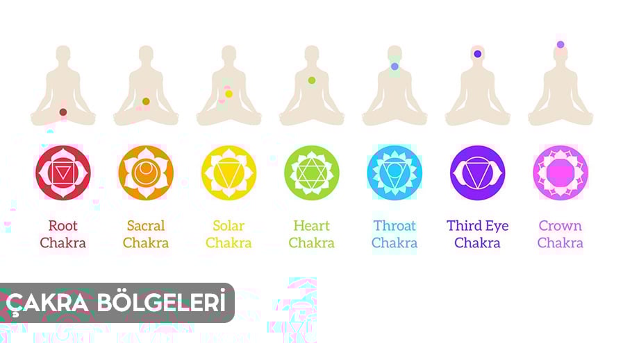 Keng areolali katta kokrak fotosuratlari Keng areolali katta kokrak fotosuratlari