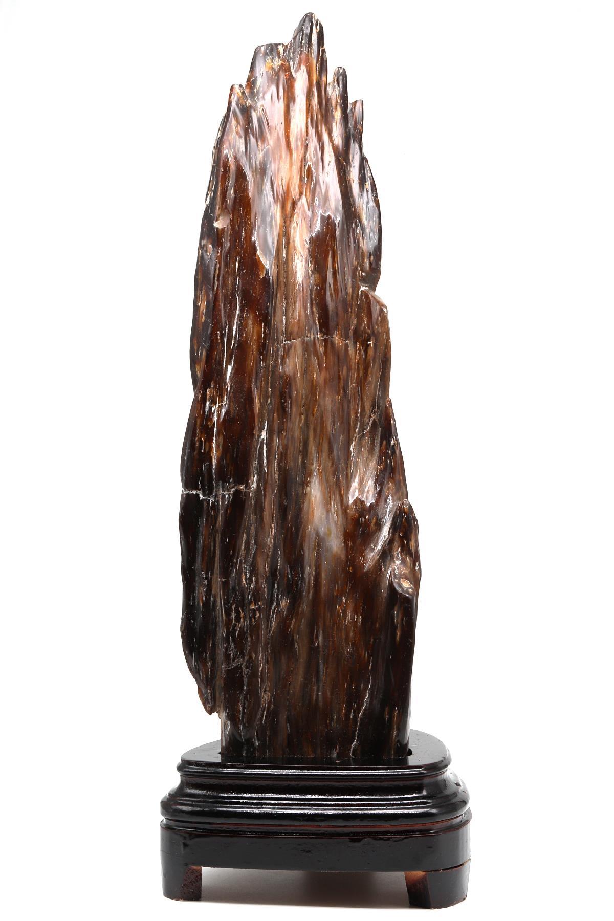 Ağaç Fosili Standlı Parça