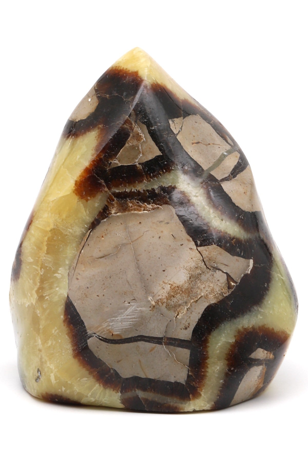 Septeryan Doğal Taş Spiral Parça - 458 Gr.