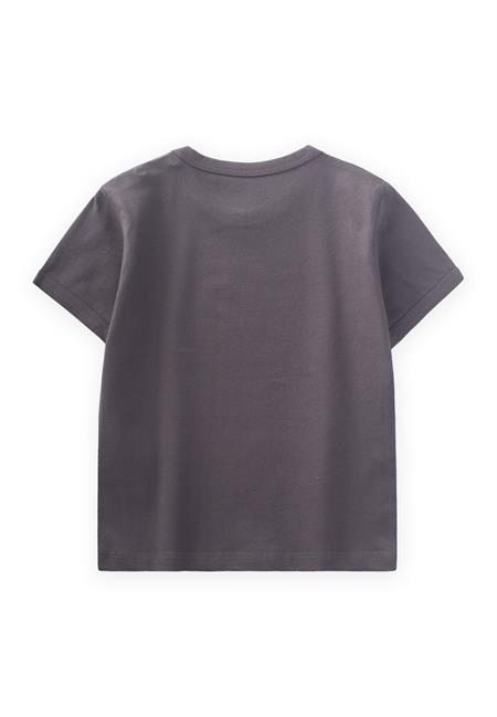 Lets Set Saıl Baskılı T-Shırt 1-5 Yaş Gri