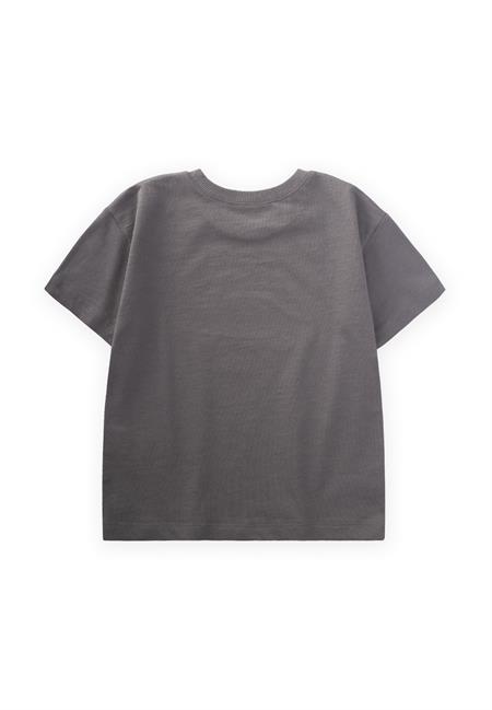 Punto Araba Nakışlı T-Shırt 2-10 Yaş GRİ