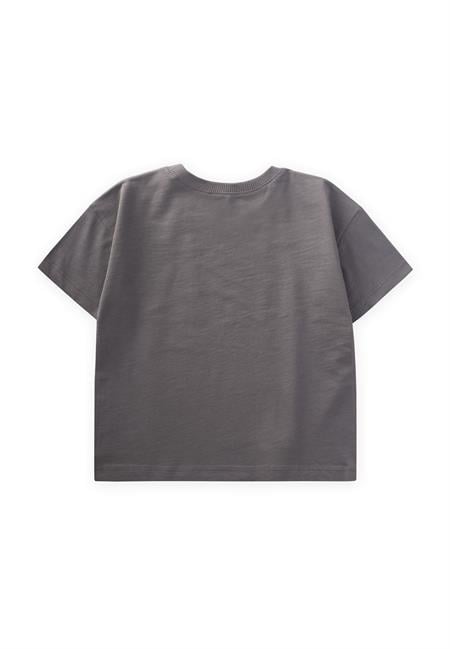 Play Baskılı T-Shırt 2-6 Yaş Gri