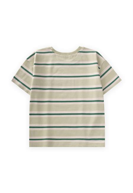 Geniş Çizgili Nakışlı T-Shırt 2-10 Yaş Mint Haki Çizgili