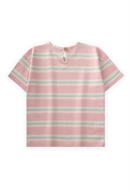 Çizgili Kız T-Shırt 2-10 Yaş Pembe Mavi Çizgili