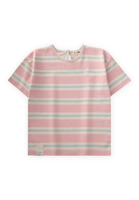 Çizgili Kız T-Shırt 2-10 Yaş Pembe Mavi Çizgili