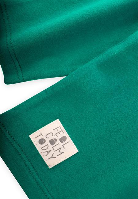 Etiket Detaylı Mevsimlik T-Shırt 2-10 Yaş YEŞİL