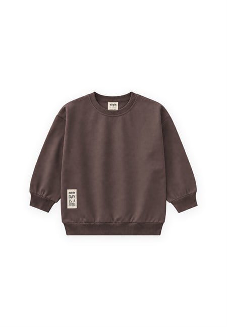 Etiket Detaylı İnce Mevsimlik Sweatshirt 2-10 Yaş Kahverengi