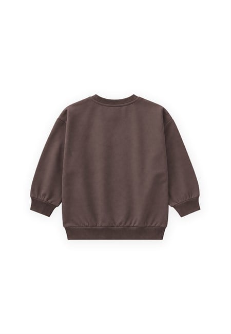 Etiket Detaylı İnce Mevsimlik Sweatshirt 2-10 Yaş Kahverengi