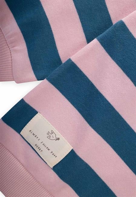 Çizgili Triko Sweatshırt 2-12 Yaş Mavi Pudra