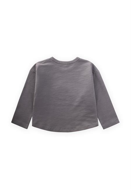 Nakışlı Sweatshirt 1-5 Yaş Gri