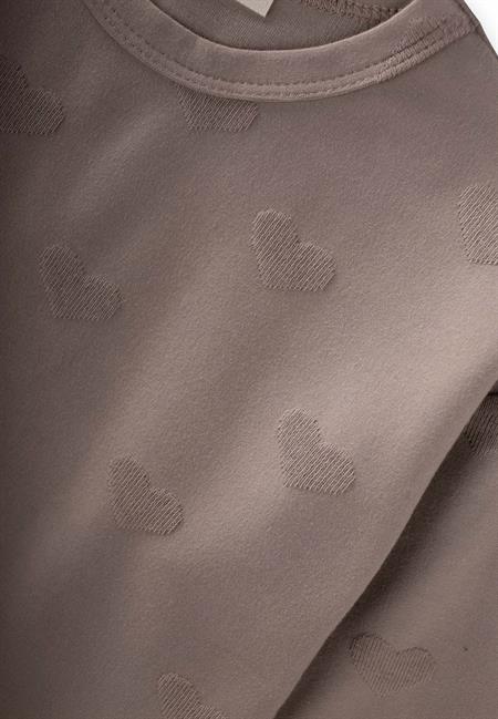 Uzun Kollu T-Shırt Takım 1-7 Yaş Vizon