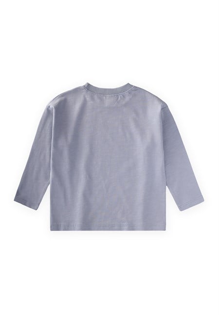 Sloganlı Uzun Kollu T-Shirt 2-10 Yaş PASTEL MAVİ