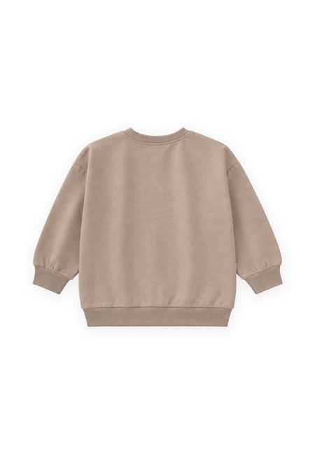 İnce Mevsimlik Sweatshirt 1-7 Yaş Sıcak Vizon