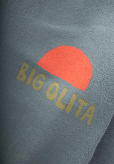 Bıg Olıta Baskılı Sweatshirt 2-10 Yaş Çağla Yeşili