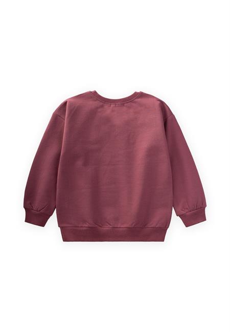 Çiçek Nakışlı Sweatshırt 2-7 Yaş MÜRDÜM