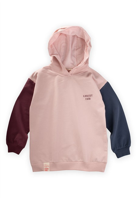 Multicolor Sweatshirt 5-12 Yaş Pudra