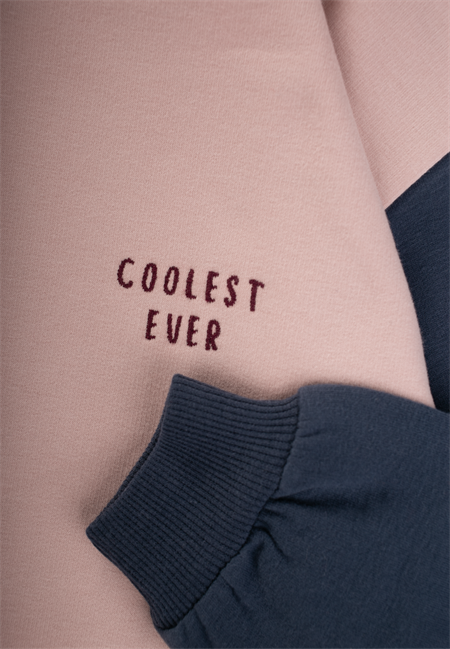 Multicolor Sweatshirt 5-12 Yaş Pudra