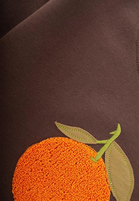 Süzene Nakışlı Sweatshirt 1-7 Yaş Kahverengi