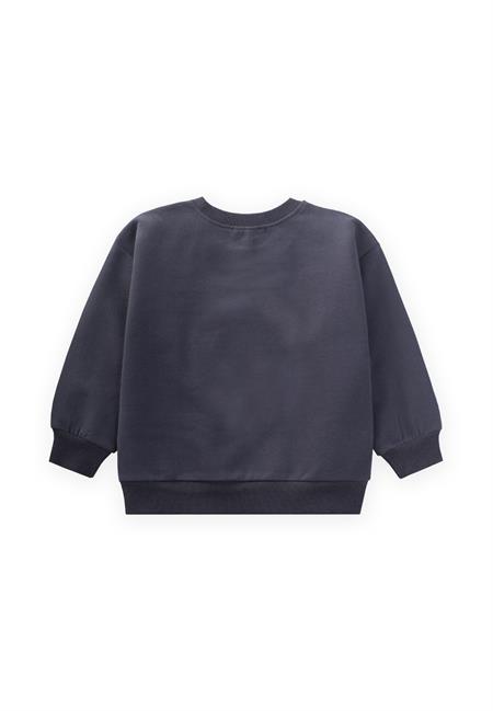 Süzene Nakışlı Sweatshirt 1-7 Yaş Antrasit