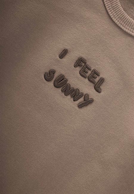 Nakışlı Sweatshirt 1-7 Yaş S Vizon