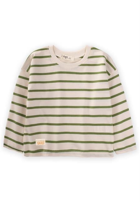 Çizgili Mevsimlik T-Shırt 1-10 Yaş Yağ Yeşili