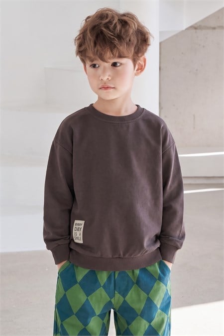 Etiket Detaylı İnce Mevsimlik Sweatshirt 2-10 Yaş Kahverengi