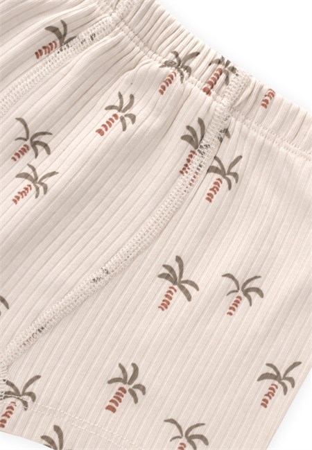 İkili Erkek Boxer Beli Reçme 2-9 Yaş PALMİYE DESEN