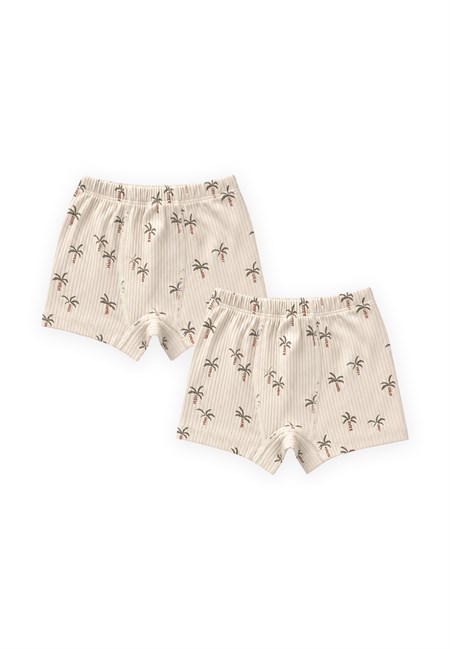 İkili Erkek Boxer Beli Reçme 2-9 Yaş PALMİYE DESEN