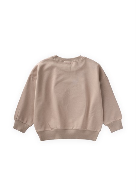 Mevsimlik Sweatshirt 1-7 Yaş S VİZON