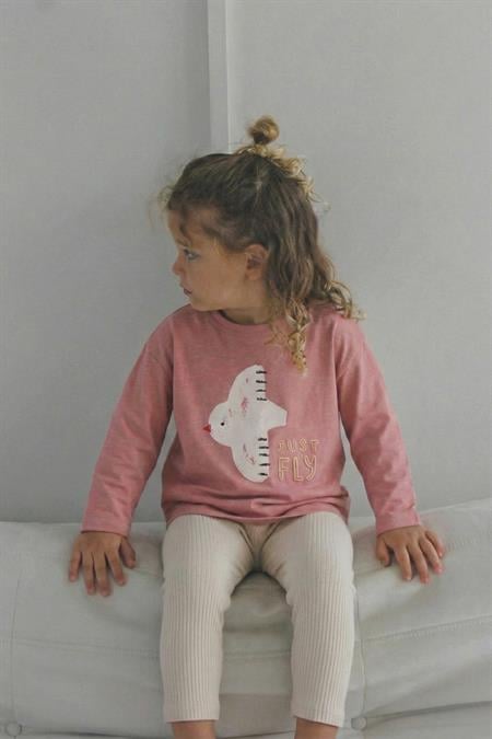 Uzun Kollu Baskılı T-Shırt Takım 1-5 Yaş K Pembe