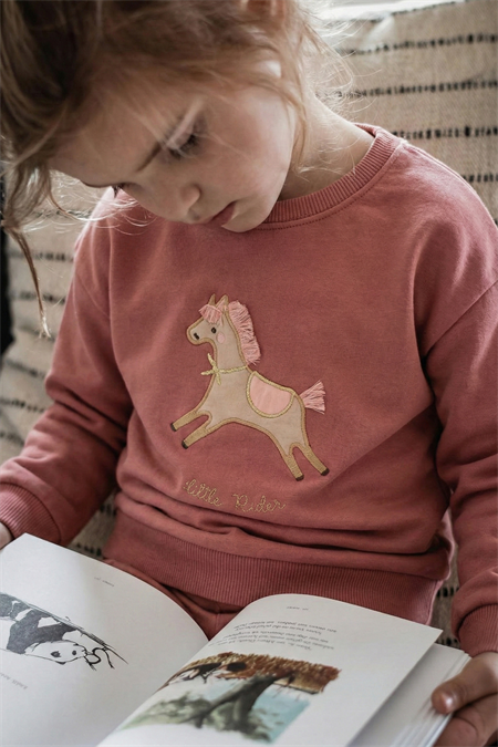 At Aplikeli Sweatshirt 1-6 Yaş Gül Kurusu