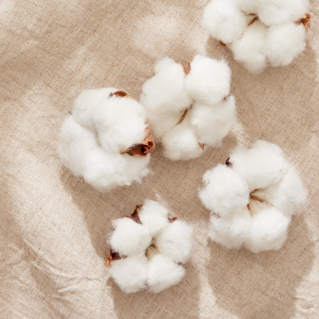 Cotton