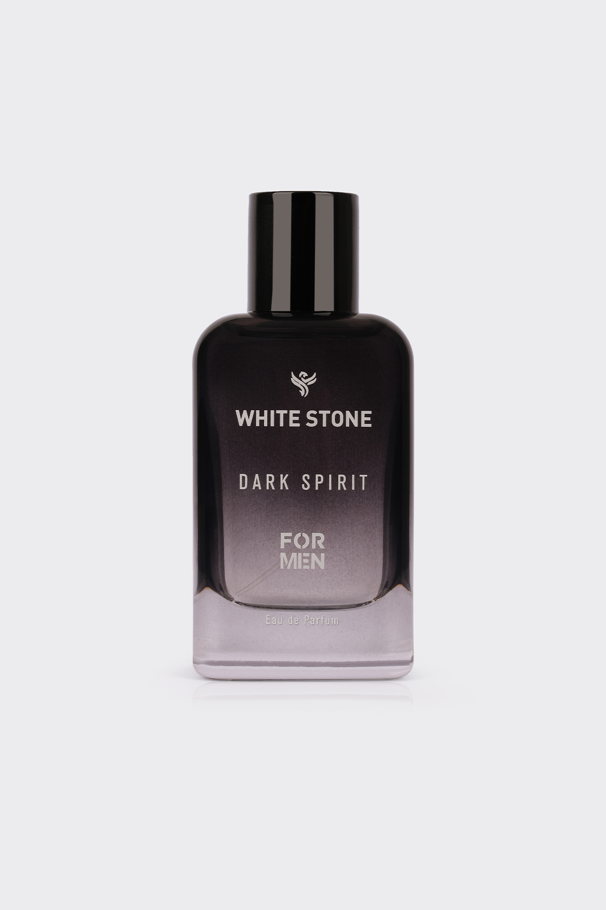 Dark Spirit – Erkek Eau de Parfum (100 ml)