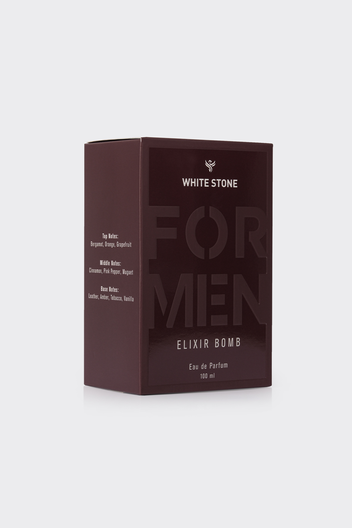 Elixir Bomb – Erkek Eau de Parfum (100 ml)