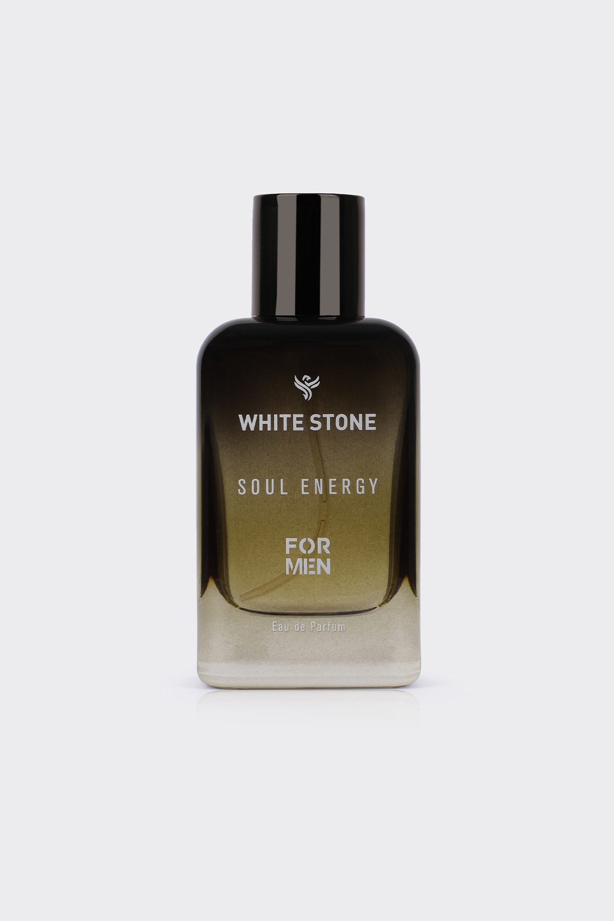 Soul Energy – Erkek Eau de Parfum (100 ml)