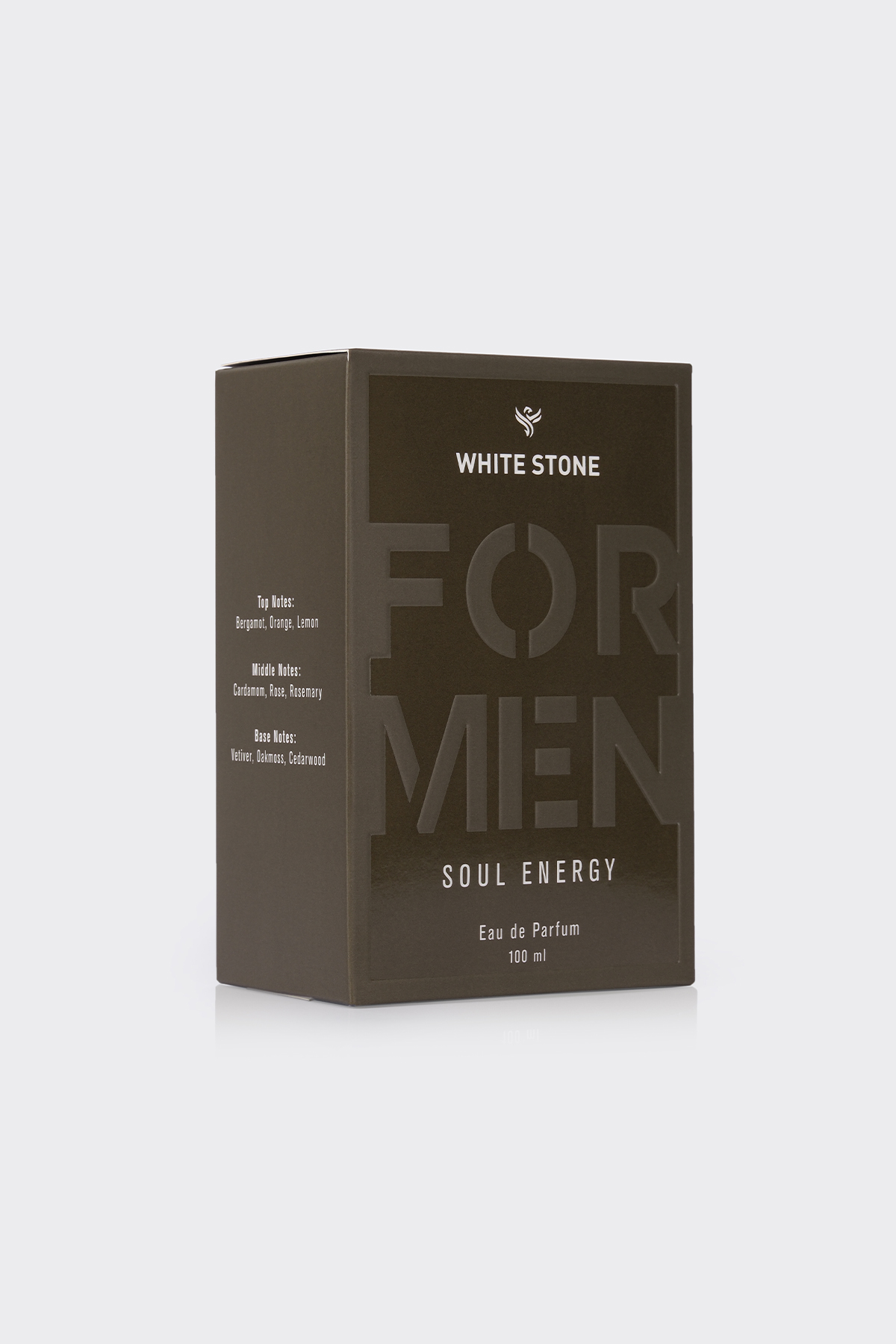 Soul Energy – Erkek Eau de Parfum (100 ml)
