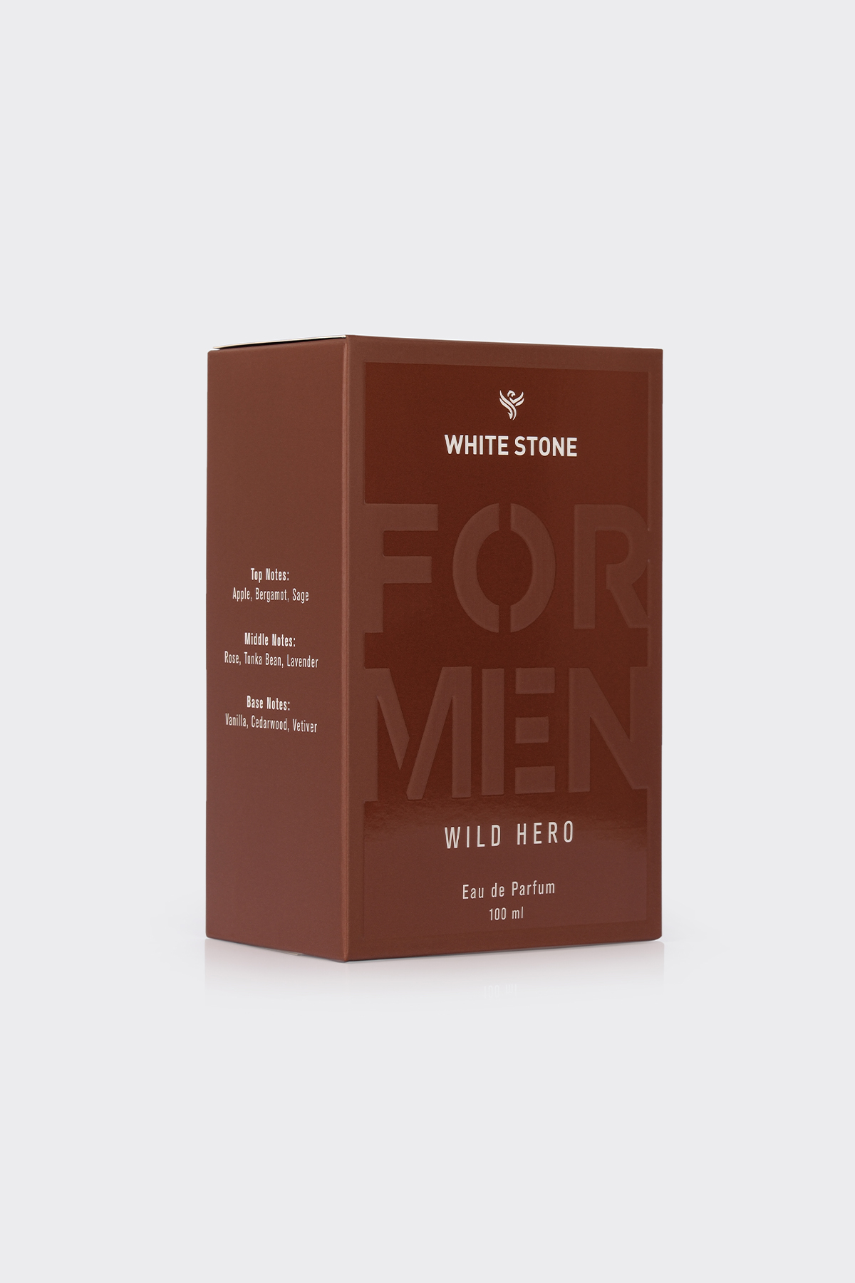 Wild Hero – Erkek Eau de Parfum (100 ml)