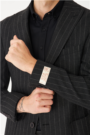 Antrasit Çizgili Spor Blazer Ceket
