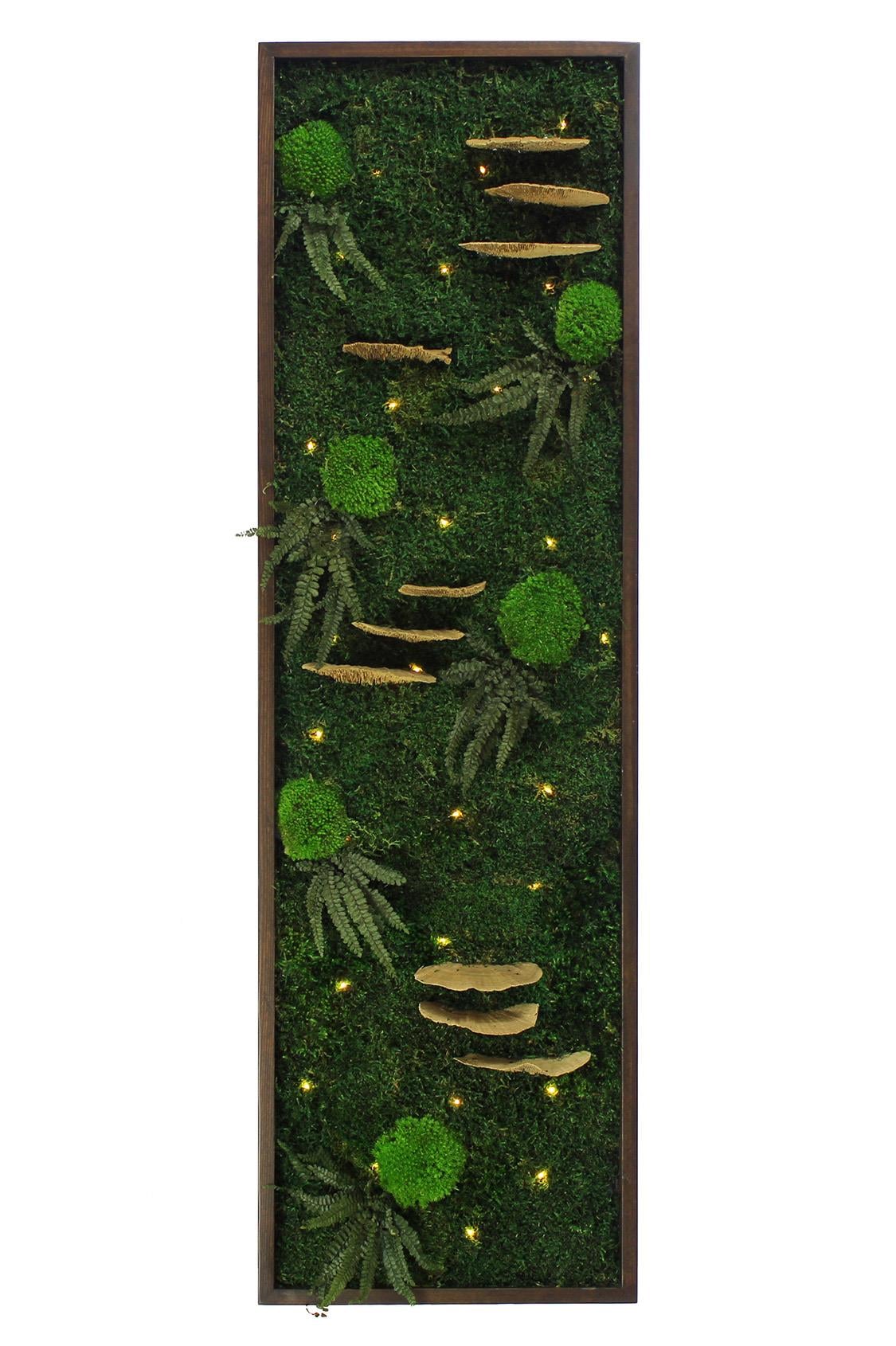 Işıklı Yosun Tablo Forest Brown Dikdörtgen