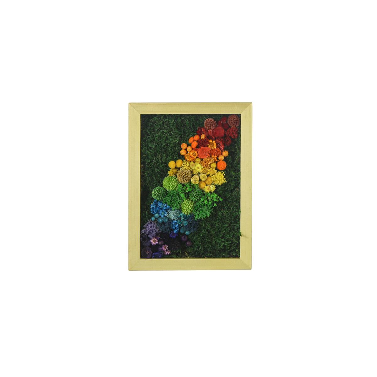 Rainbow Light D1