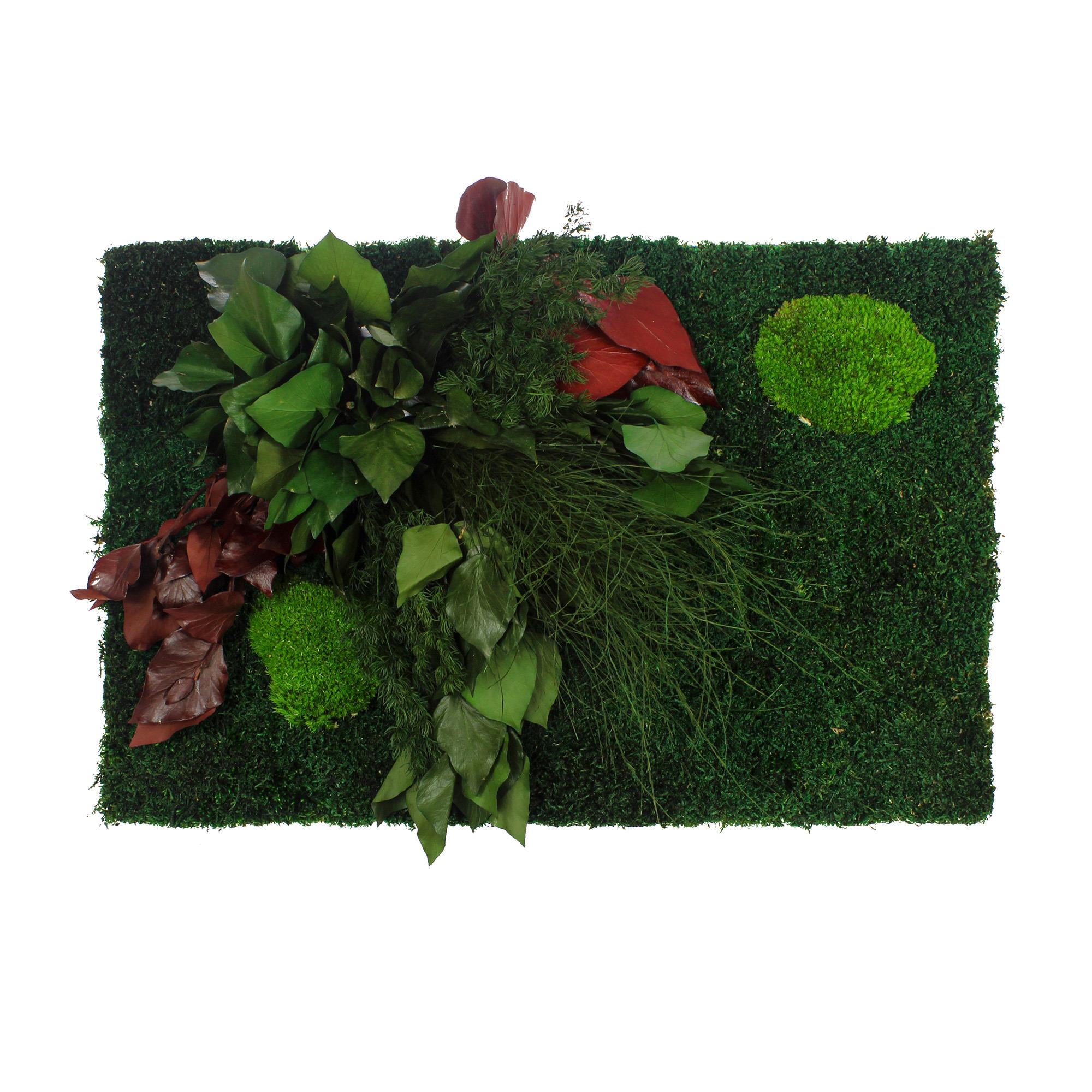 Yosun Panel Y7 Flat ve Ball Moss 60x40 cm Şoklanmış Yosun Duvar
