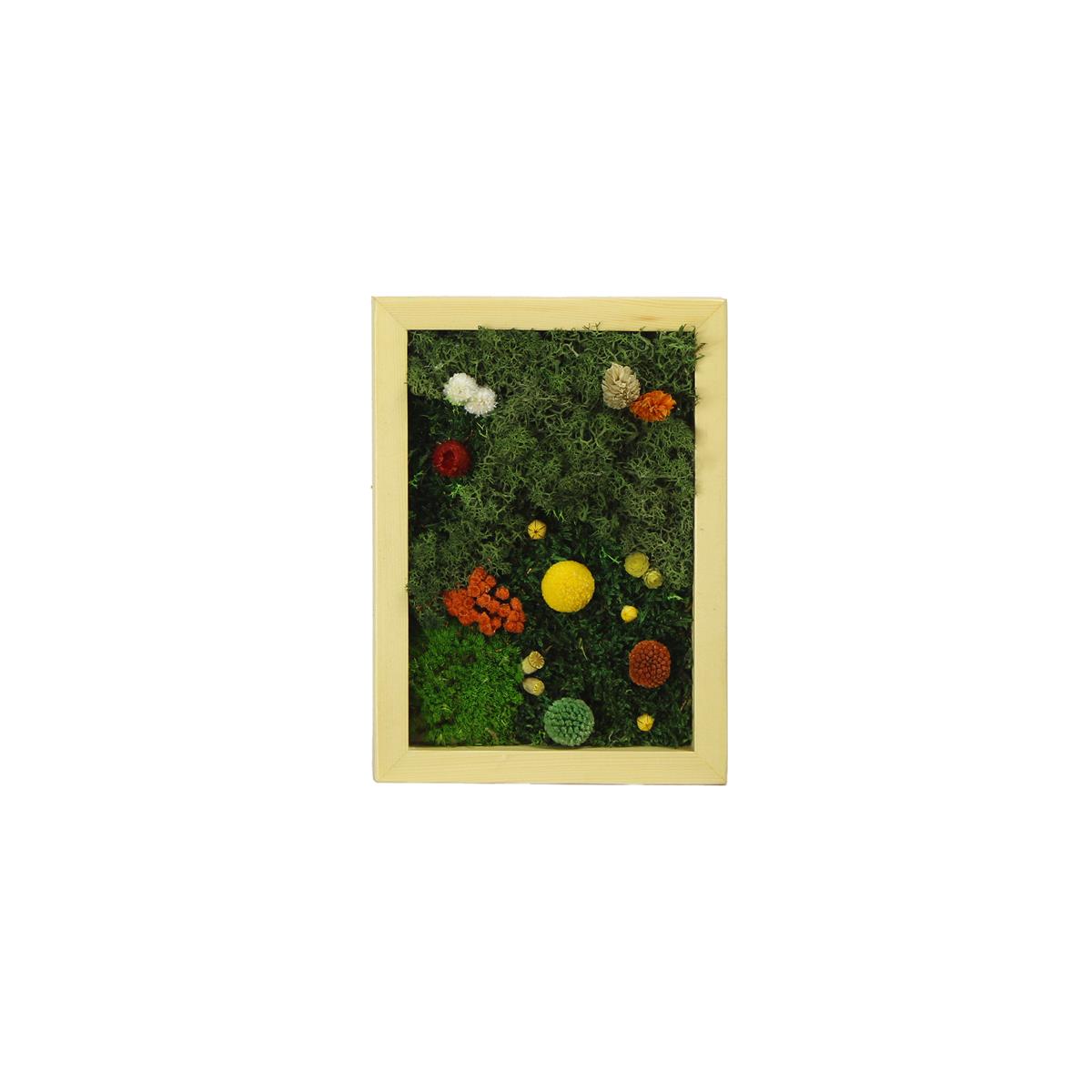 Yosun Tablo Magic Light D1