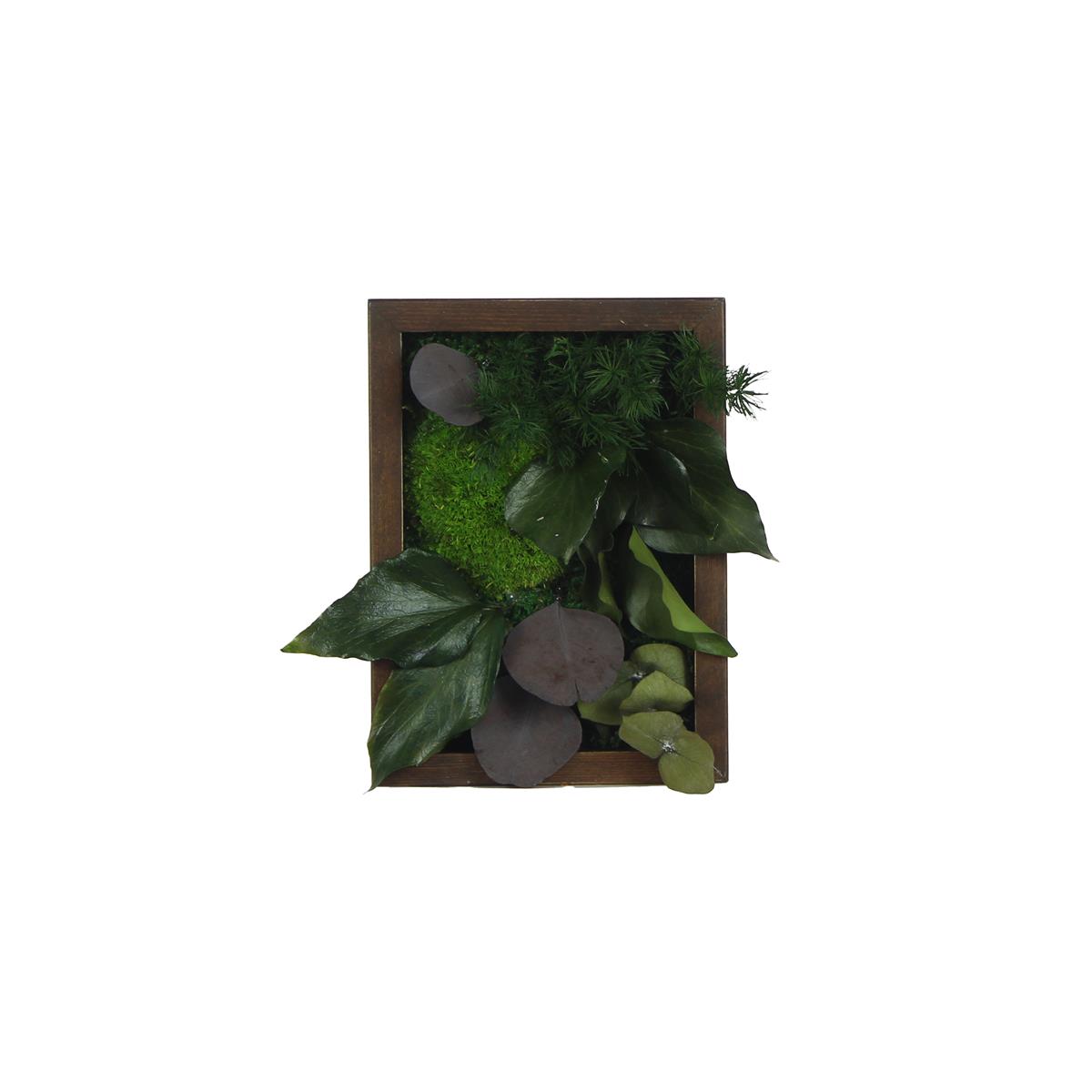 Yosun Tablo Natural Brown D1