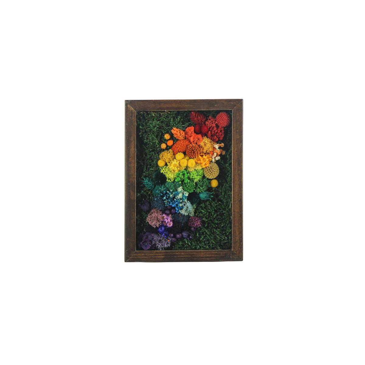Yosun Tablo Rainbow Brown D1