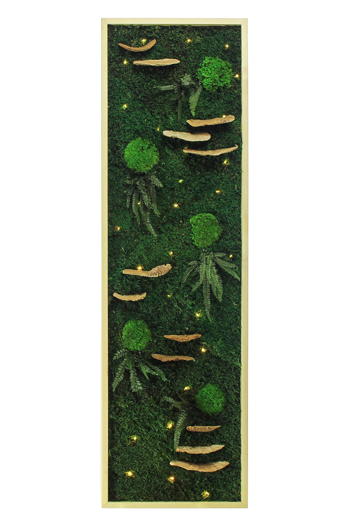 Işıklı Yosun Tablo Forest Light Dikdörtgen