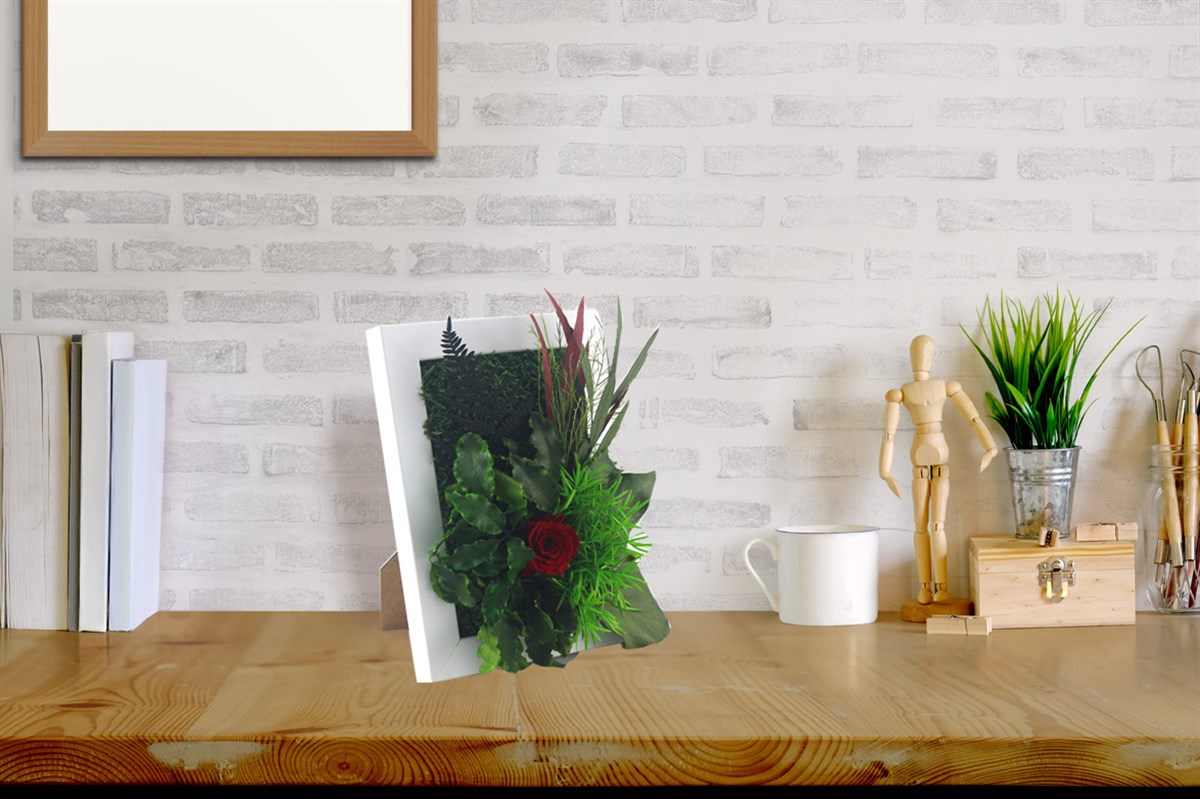 Solmayan Yosun Tablo Mini Rose 