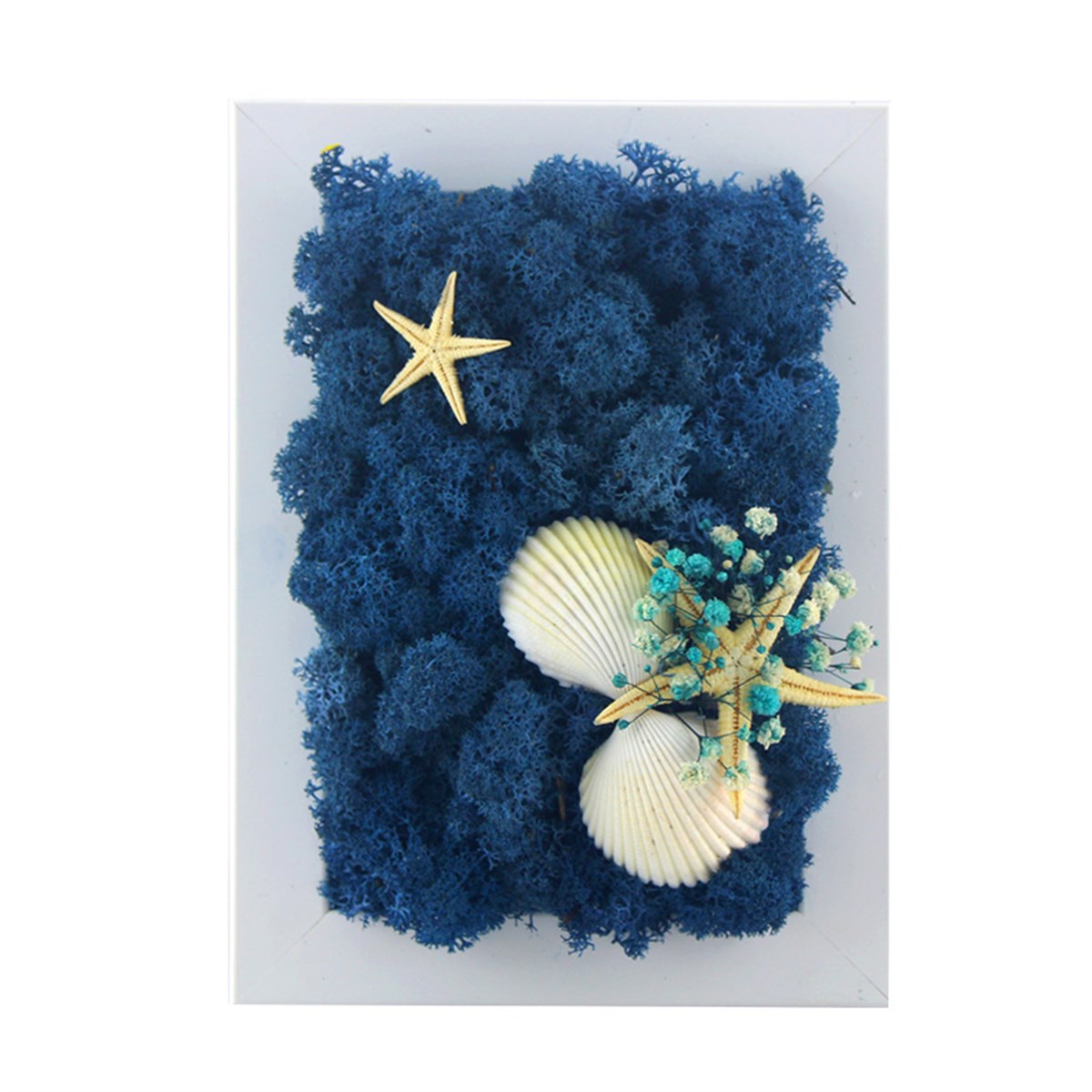 Solmayan Yosun Tablo Starfish Moss