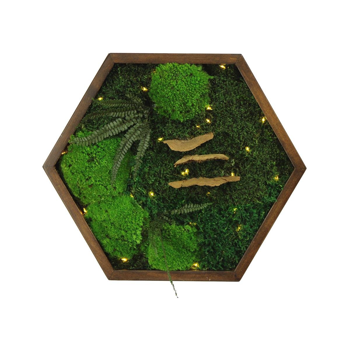 Yosun Tablo Forest Brown A1