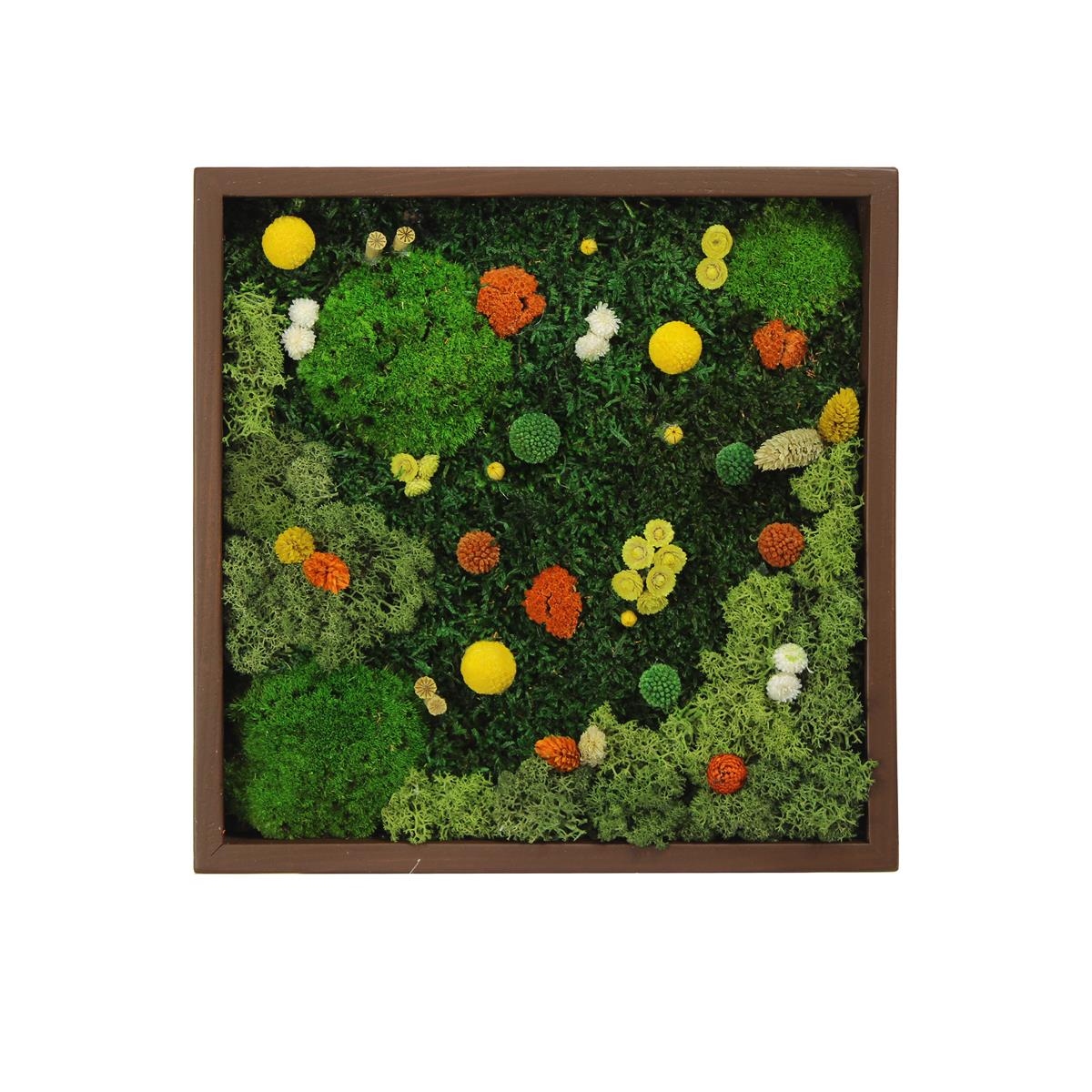 Yosun Tablo Magic Brown K1