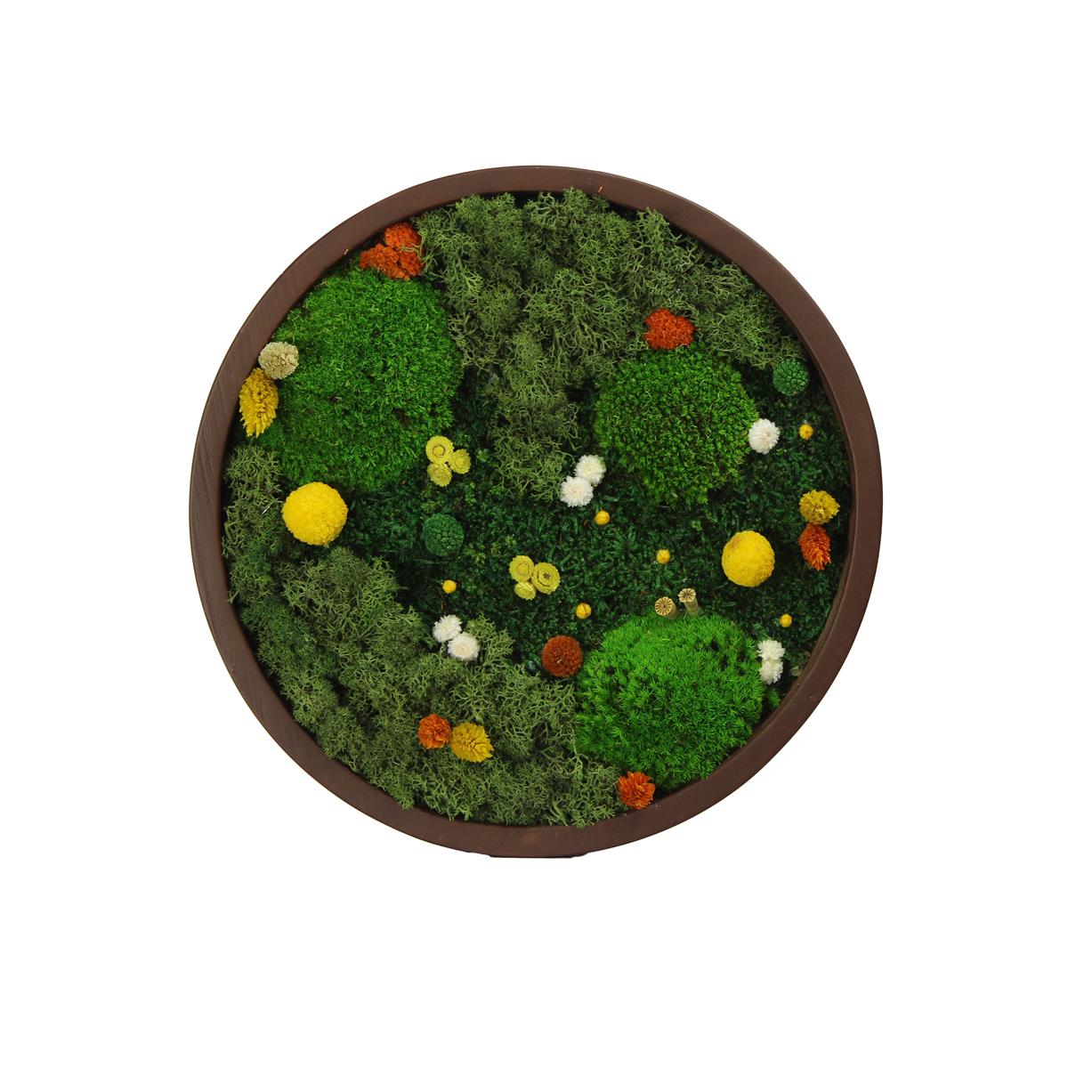 Yosun Tablo Magic Brown Y1